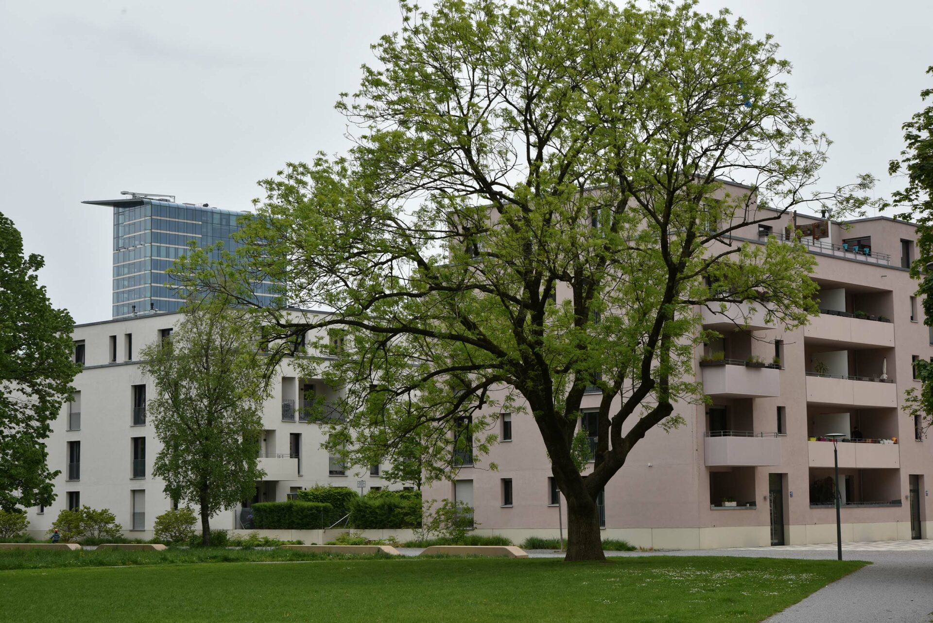 Domagkpark Moloch München